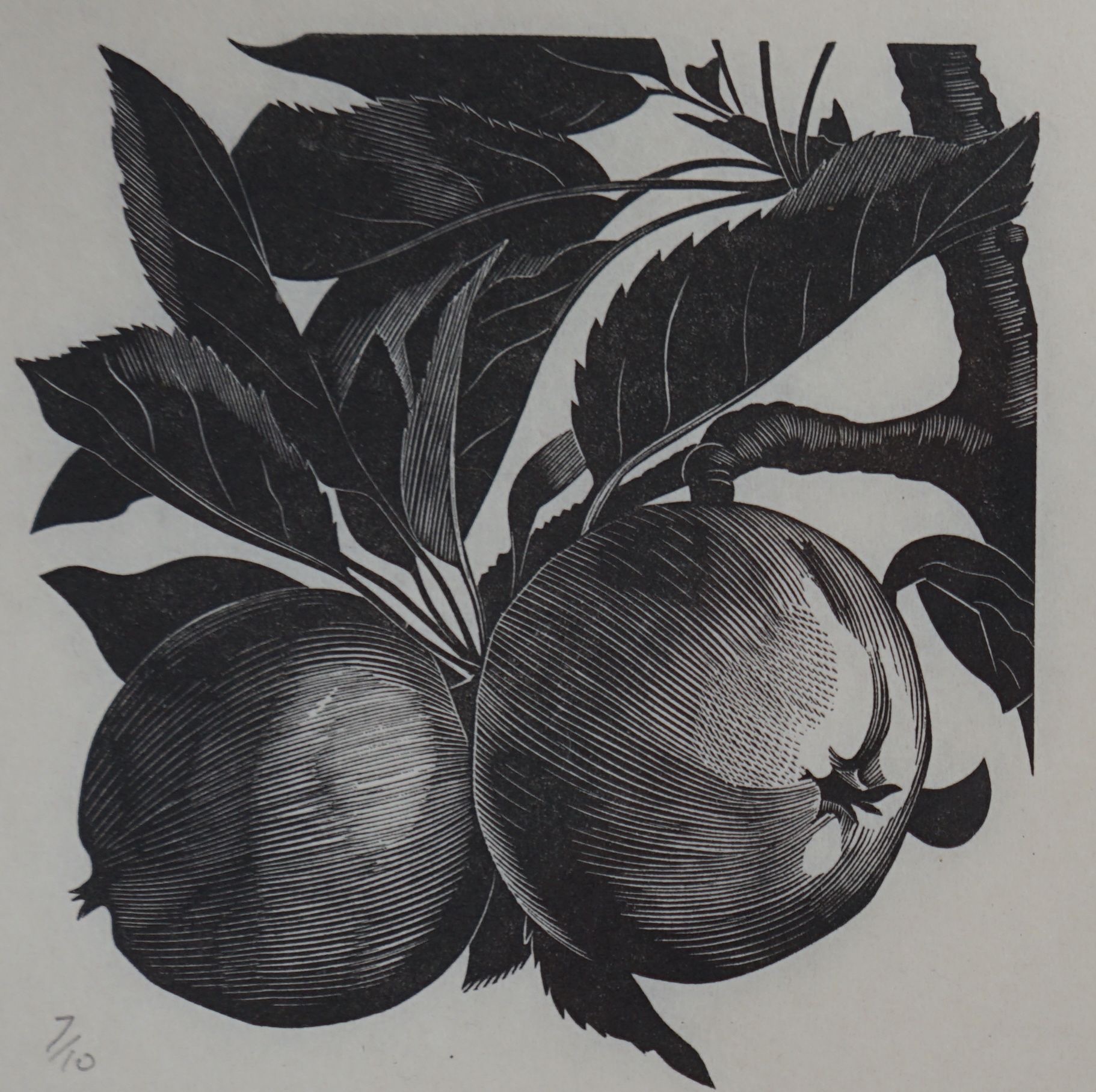 John Farleigh (1900-1965), four woodblock prints, Dhalia, Apples, Yew Trees and another Yew Trees, all numbered in pencil, largest 34 x 24cm, unframed